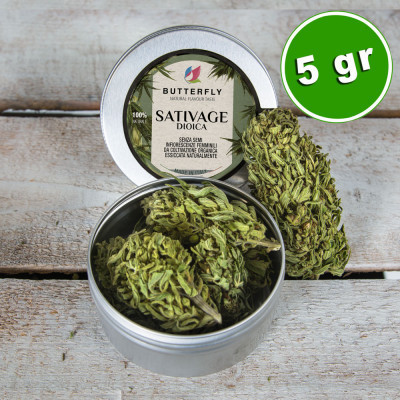 Infiorescenza Canapa DIOICA 88 - Formato 5 gr - SOLO PER ESPORTAZIONE